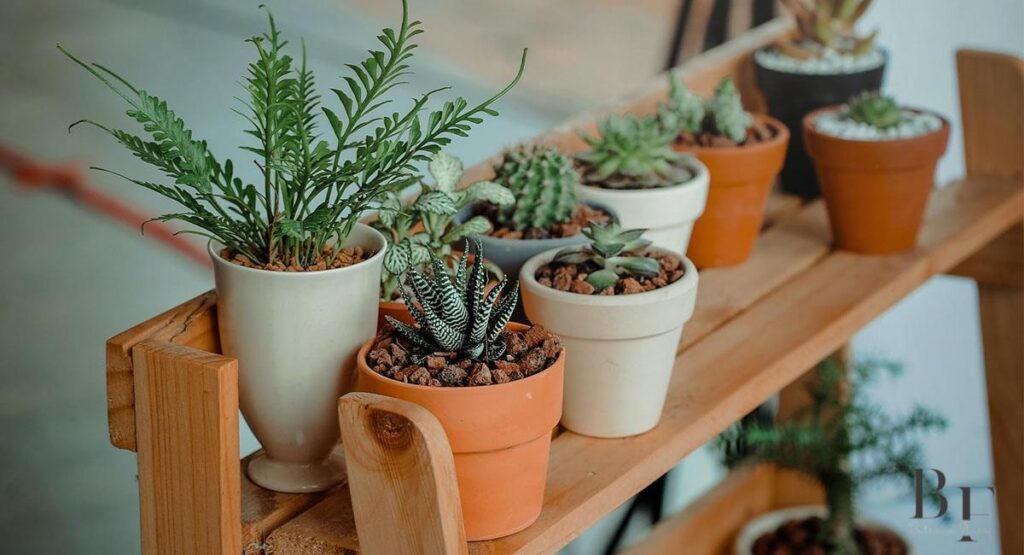 Outdoor and Garden Hacks